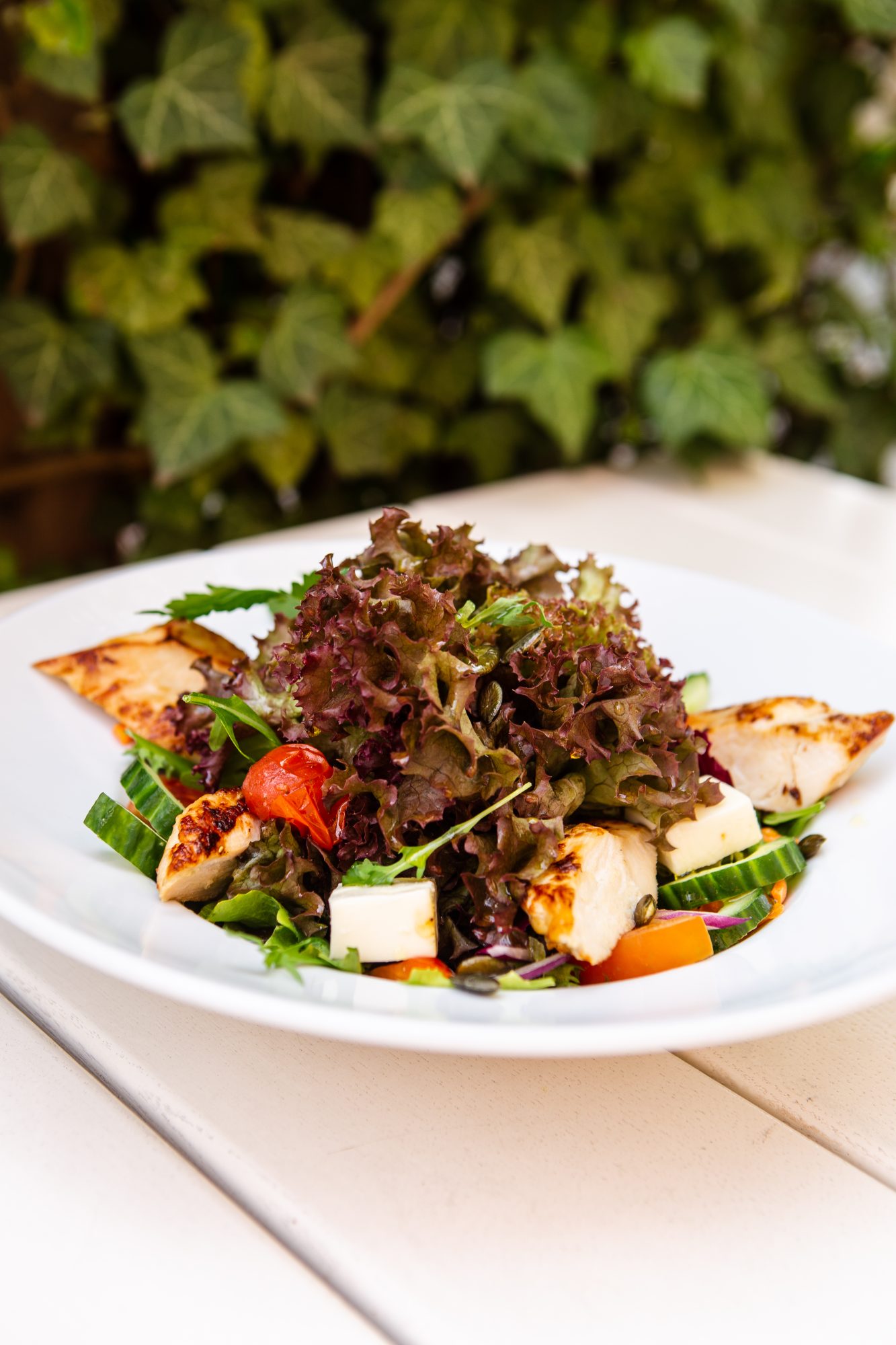 Salat „IDEAL“